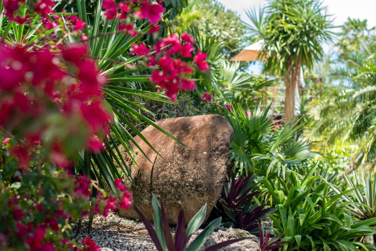 Jardin