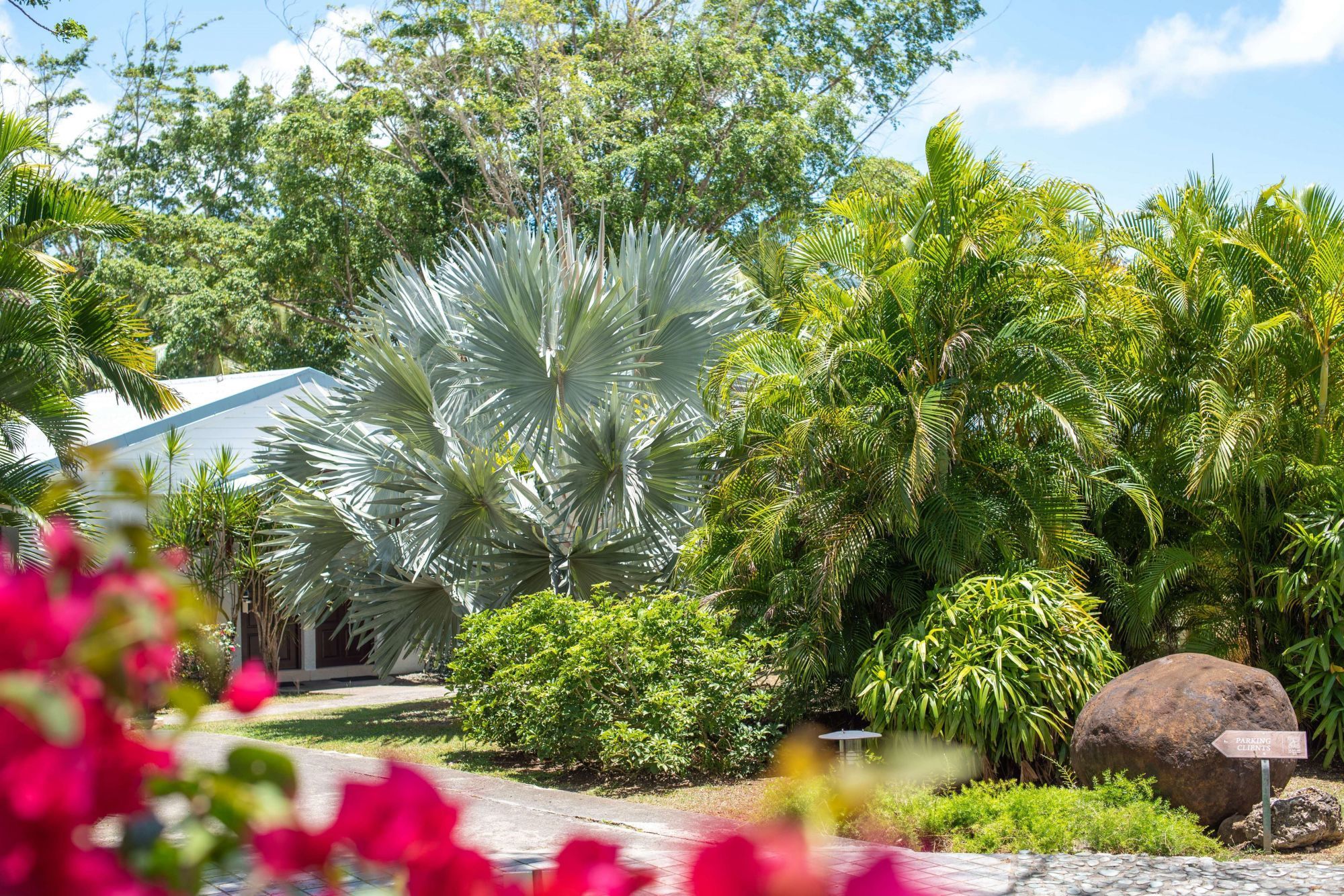 Le Relais du Moulin - Garden